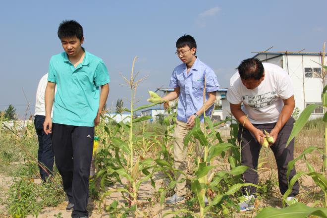 多彩生活——摘蔬菜、掰玉米
